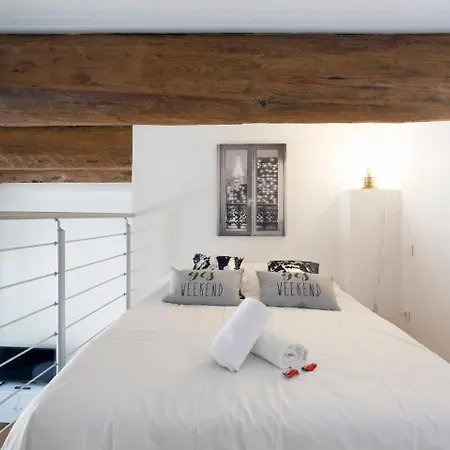 Apartment Loft Renove A Neuf De 46 M² Yes Week-end Montpellier